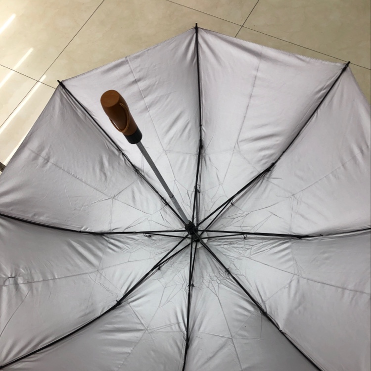 Two-fold silver rubber automatic umbrella Specification image