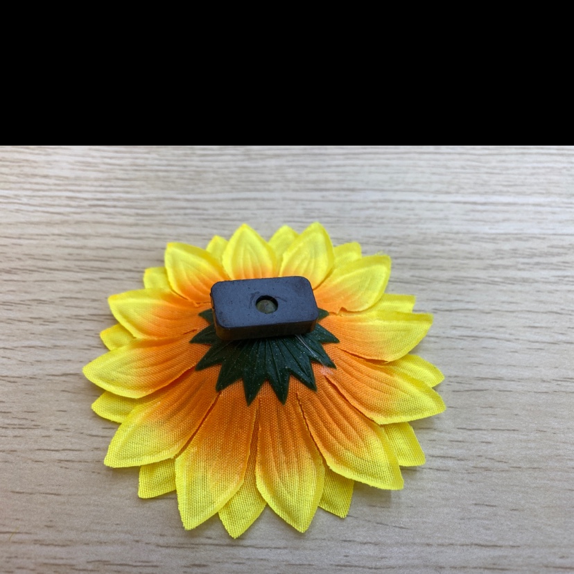 Marigold with shredded strands Application Scenario