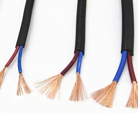 The manufacturer produces and sells multi-core wires and cables for export details Picture