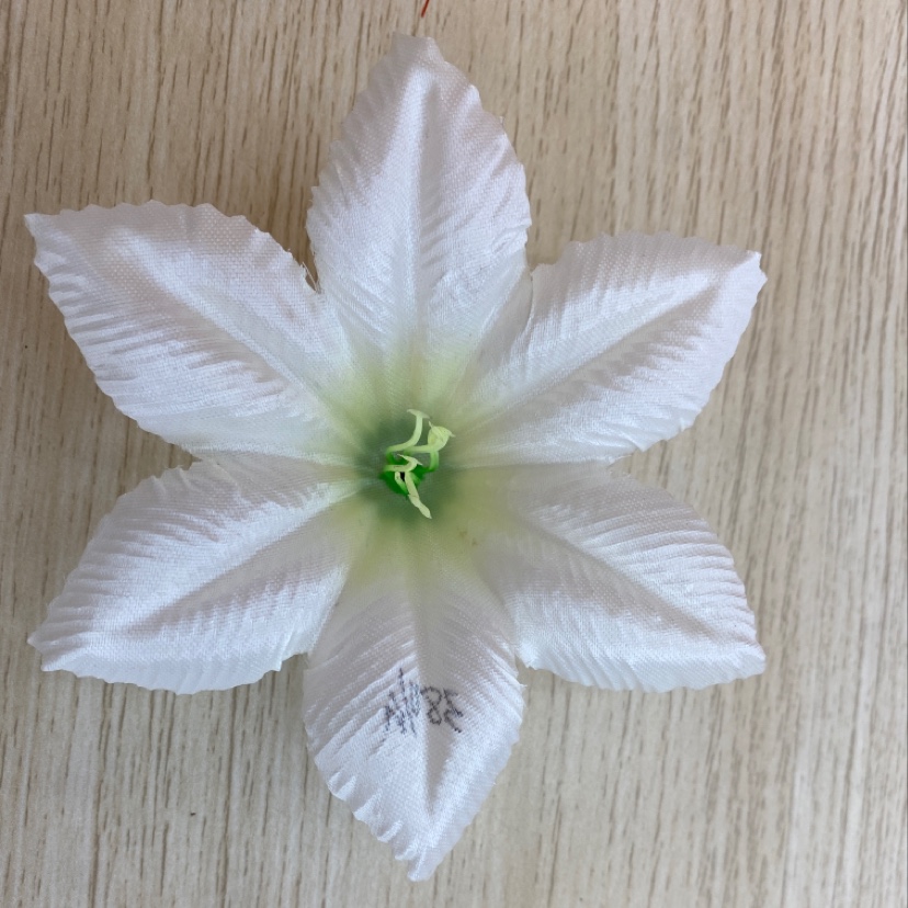Light cloth Little Lily