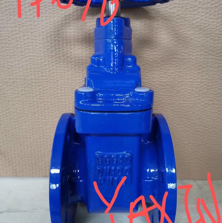 German standard hard seal gate valve full figure