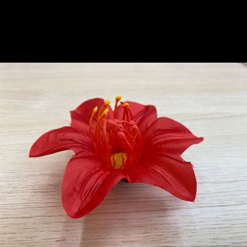 The Cymbidium goeringii Specification image