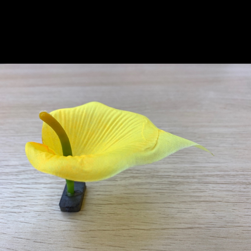 无纺布 老马蹄细节图