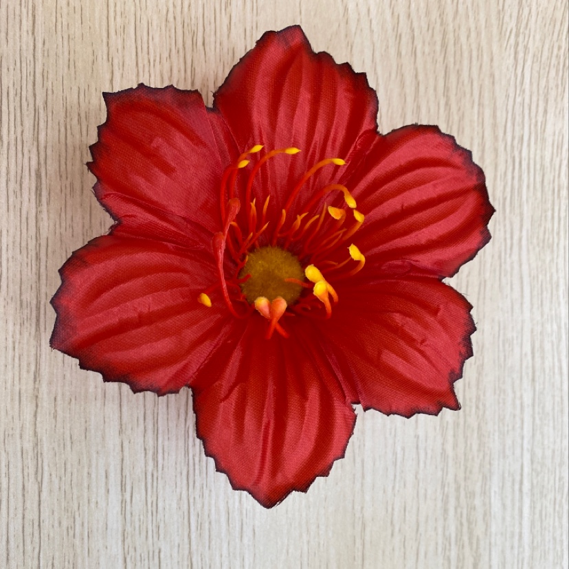 زهرة الأوركيد details Picture