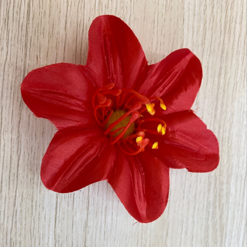 The Cymbidium goeringii