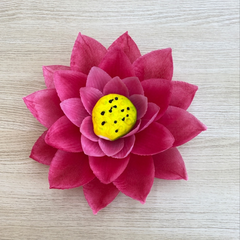 190 Touch the big lotus details Picture
