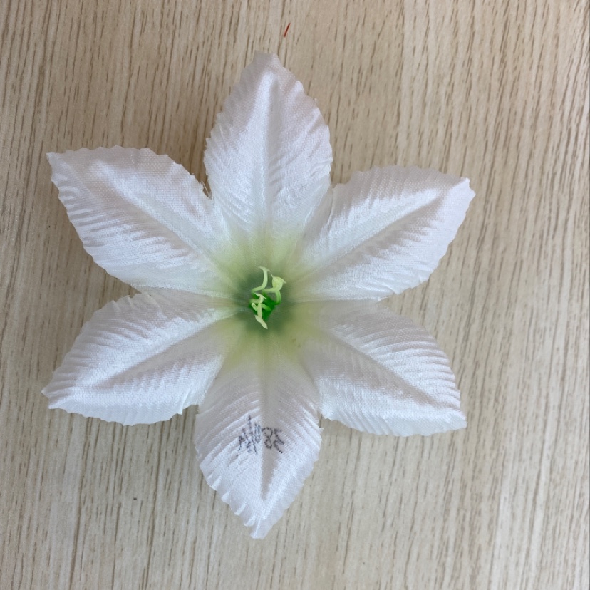 Light cloth Little Lily details Picture