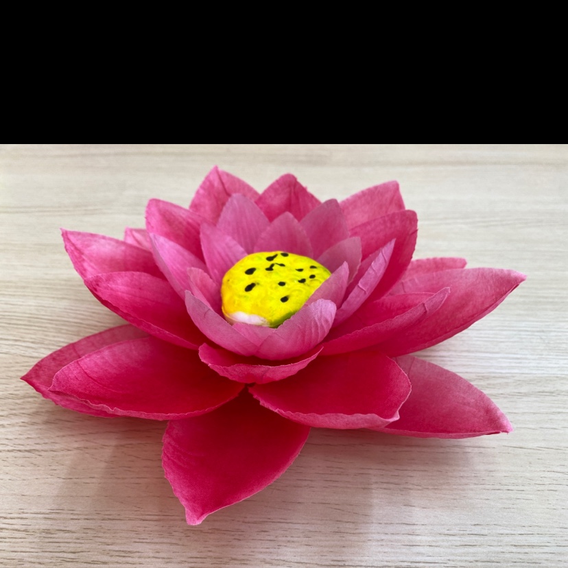 190 Touch the big lotus Specification image