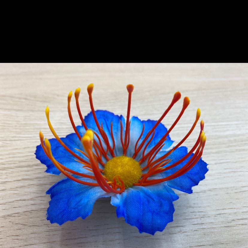 Silk cloth peacock orchid Specification image