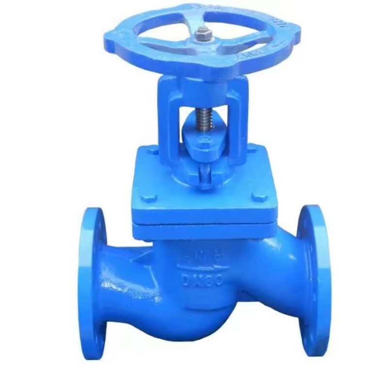 Flanged globe valve