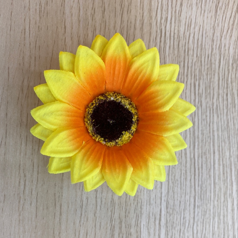 Marigold with shredded strands