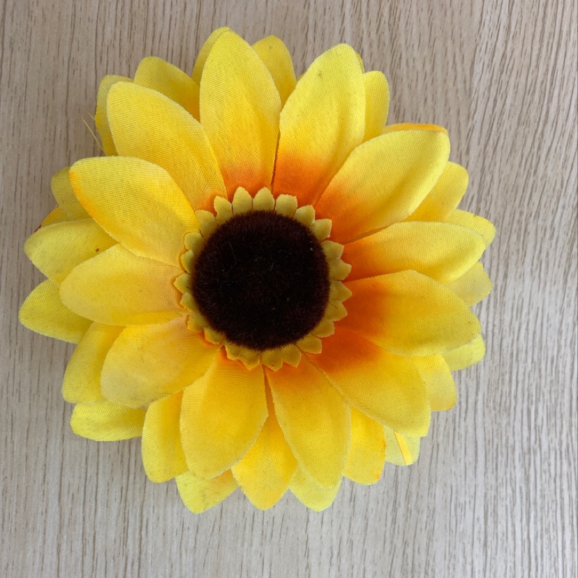 The big sunflower with a touch of silk