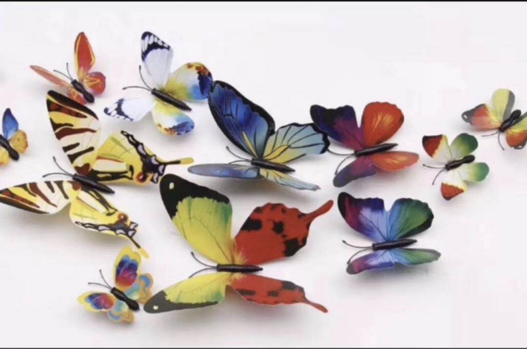 Manufacturers direct to sample custom single magnet butterfly