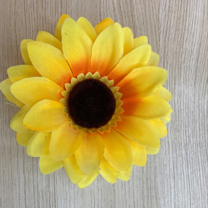 The big sunflower with a touch of silk details Picture