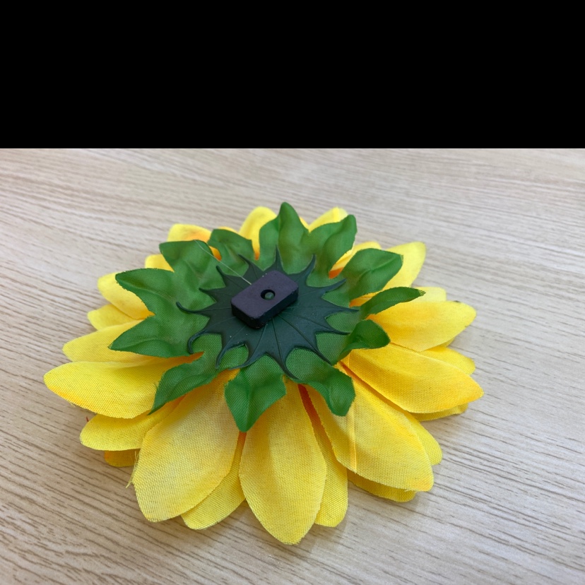 The big sunflower with a touch of silk Application Scenario