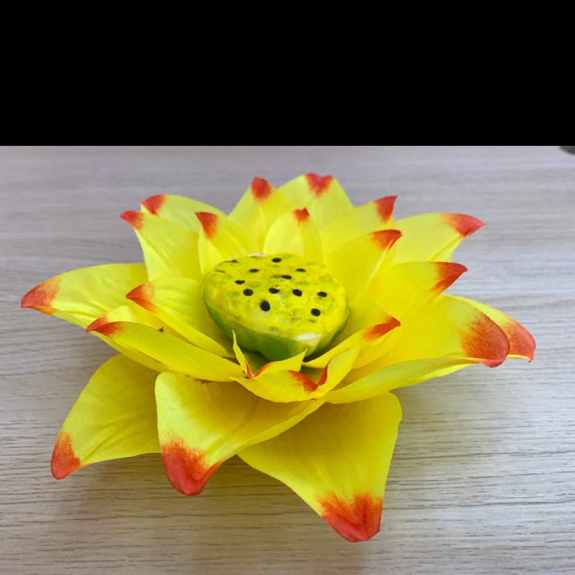 190碰丝 春荷细节图