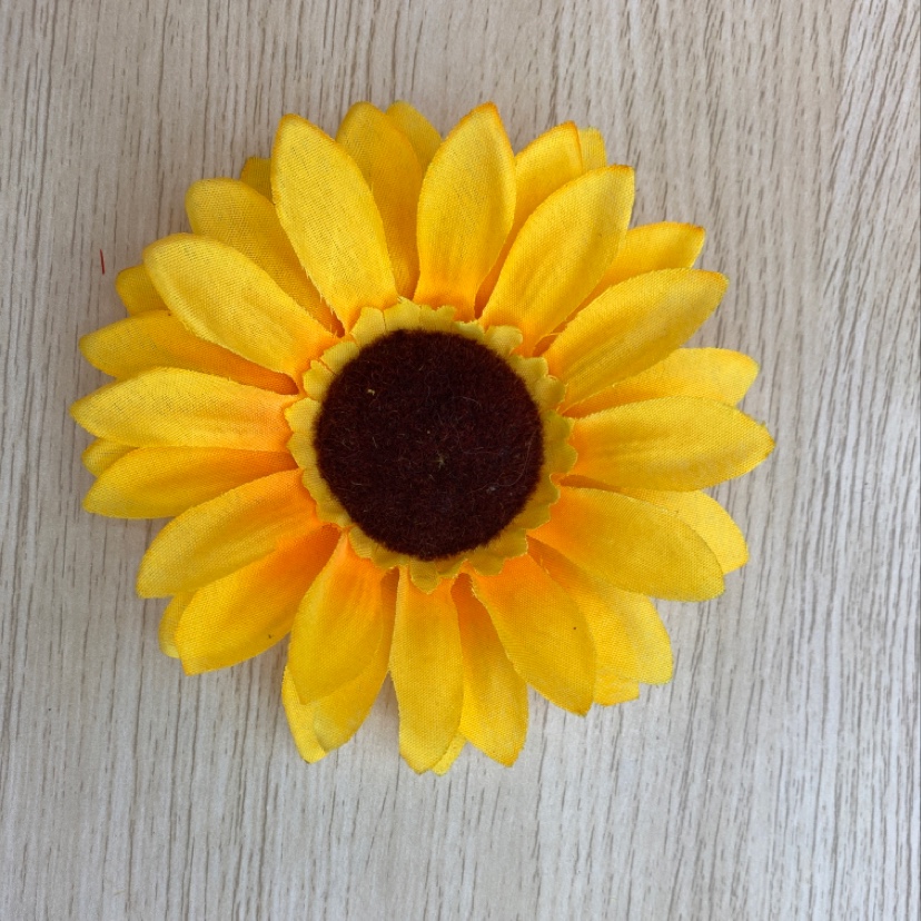 Variegated sunflower