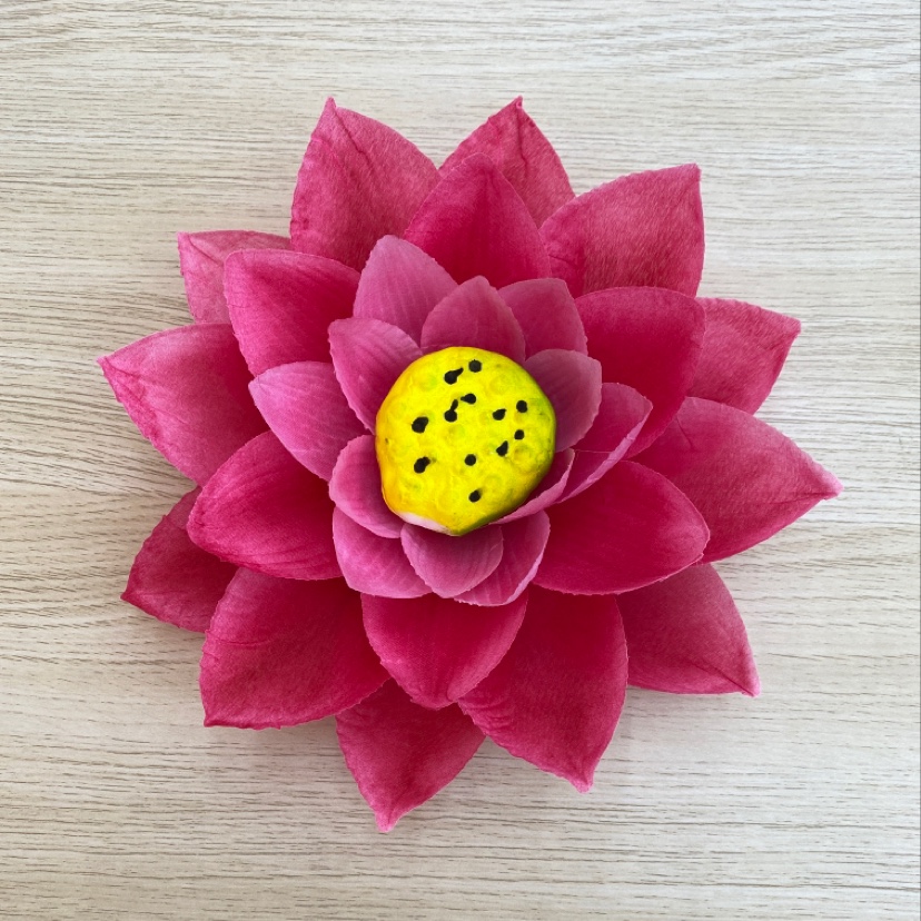 190 Touch the big lotus