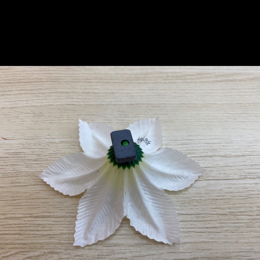 Light cloth Little Lily Application Scenario