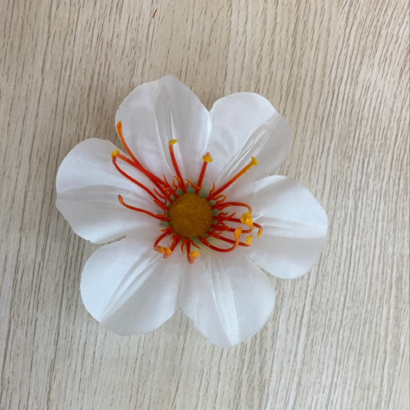 丝布 九里香定君子兰细节图