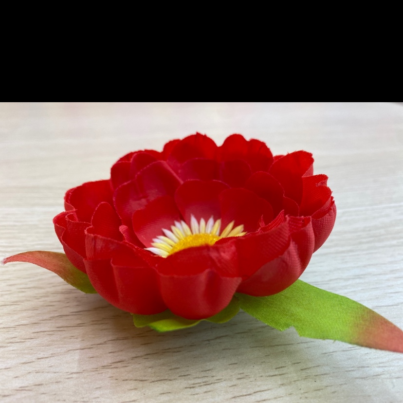 Peonies in the light cloth Application Scenario