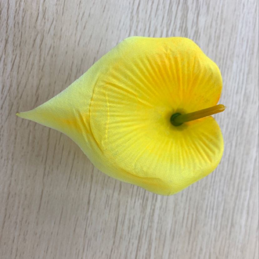 无纺布 老马蹄