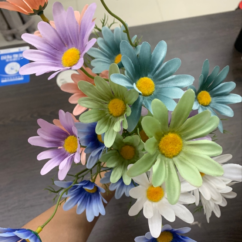 Daisies Specification image