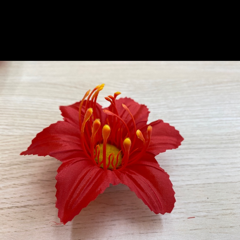 Guangbu Xinhu LAN details Picture