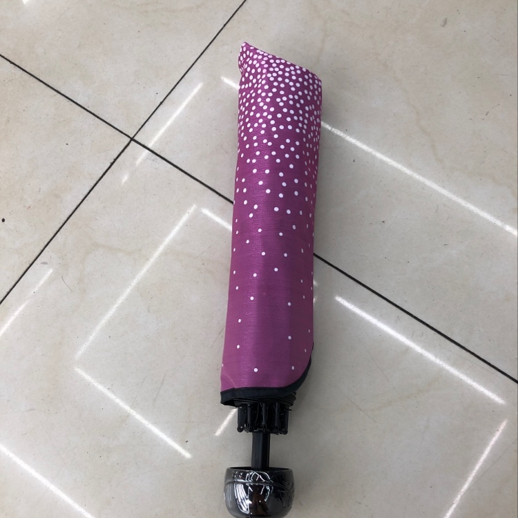Three-fold color-changing Dragon Seal Garden dot umbrella details Picture