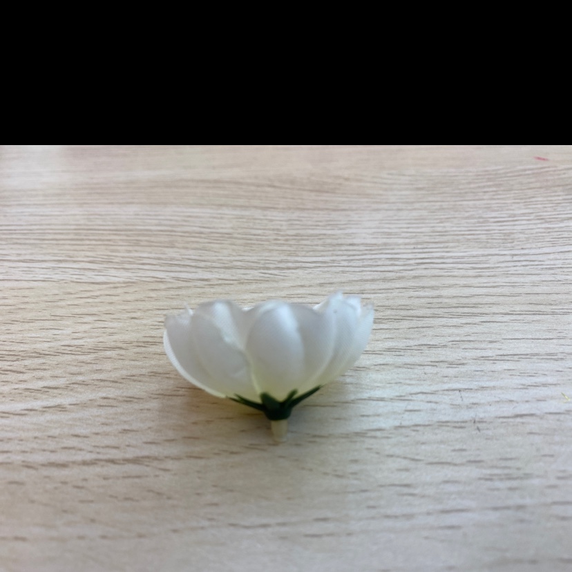190-silk fabric five-ear camellia Application Scenario