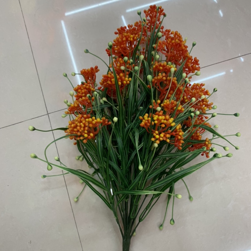 Eighteen red fruits