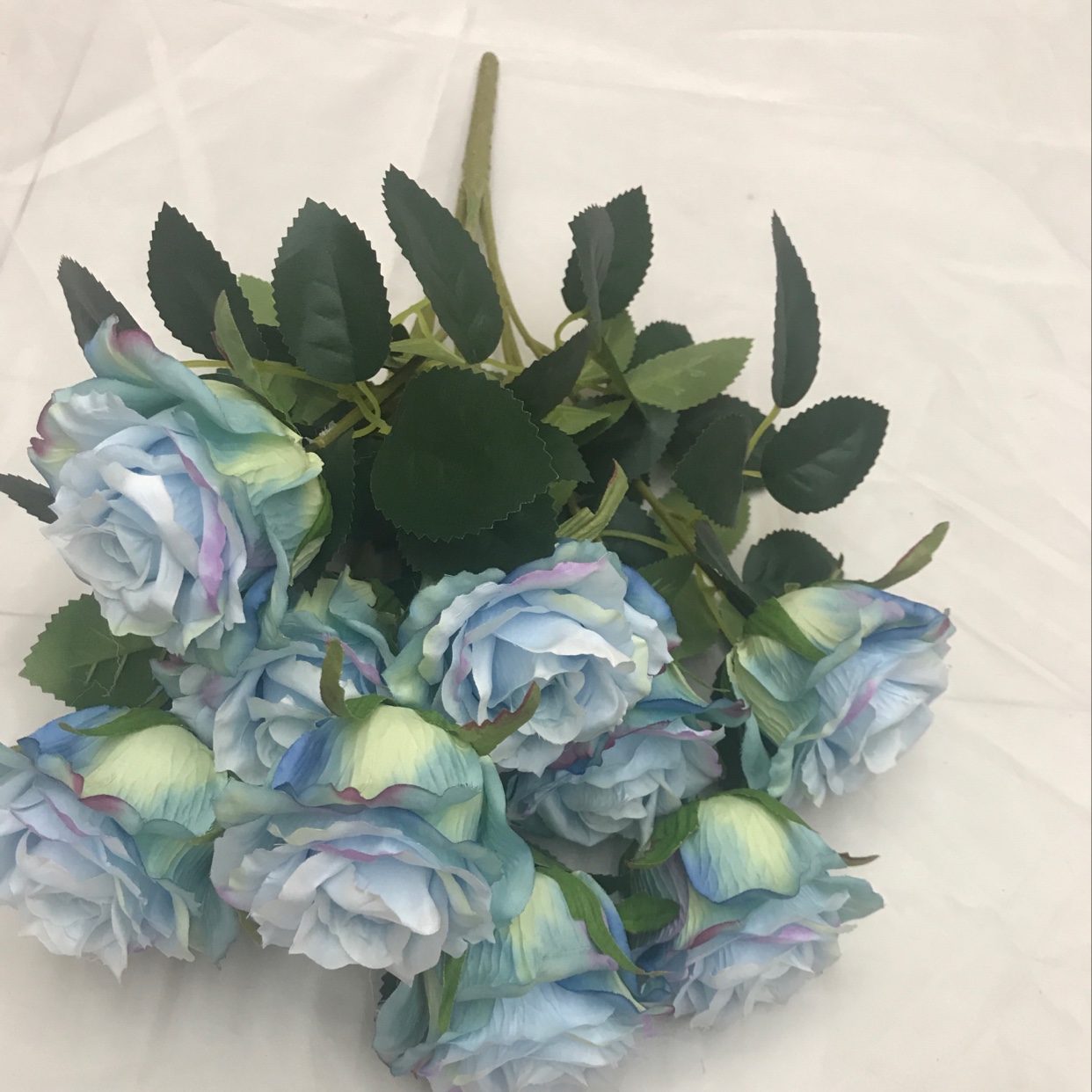 7 hydrangeas 534543