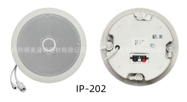 IP网络同轴吸顶音箱