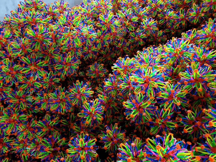 The flowering ball stretcher throws the big ball the ball