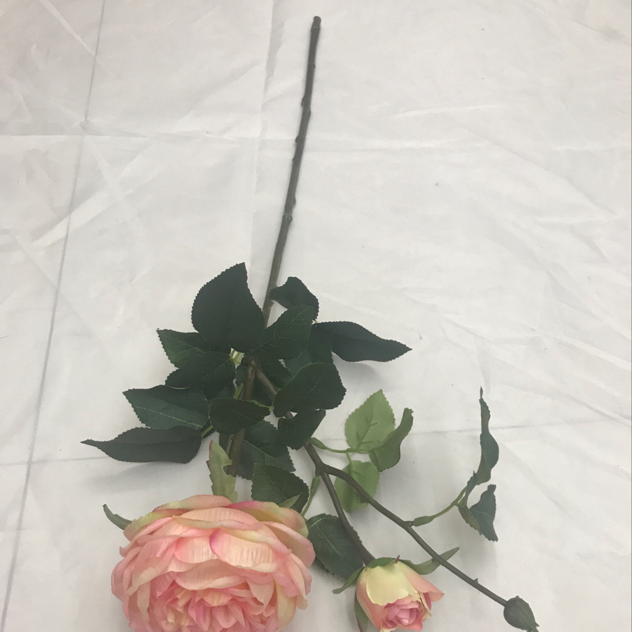 Two peonies on a single branch