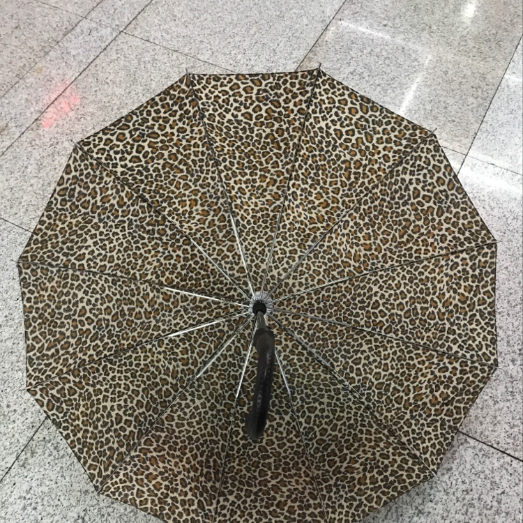 54.0 Cm 12K Leopard Print details Picture