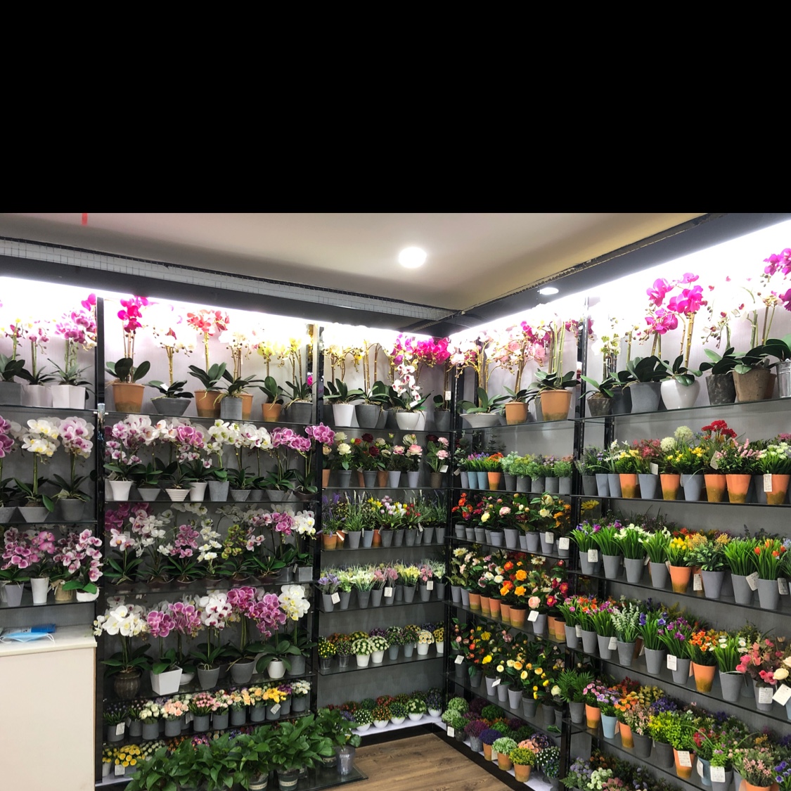 Sanfengyuan Flower describe pic - 2