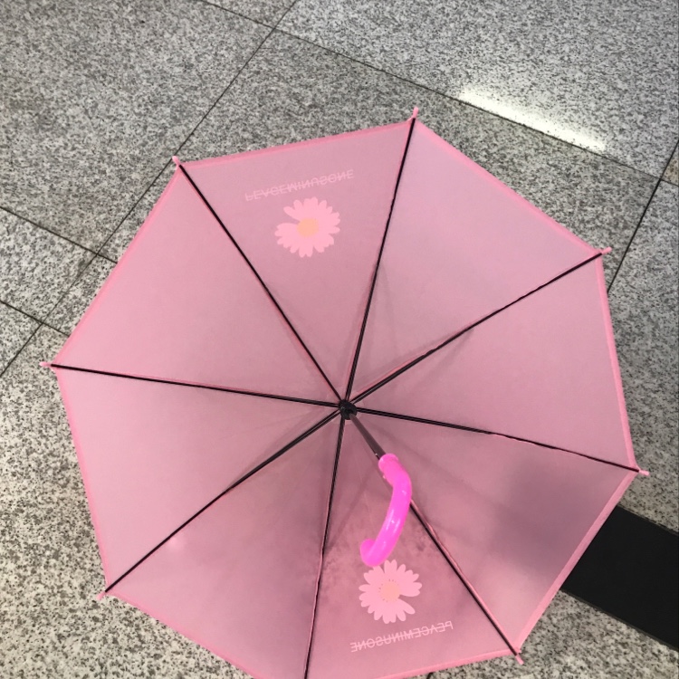 45 Cm Small Daisy With Open Hand Application Scenario