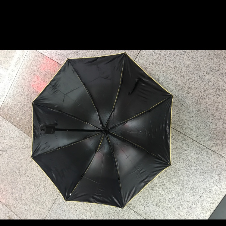 Three Fold Umbrella Bear details Picture