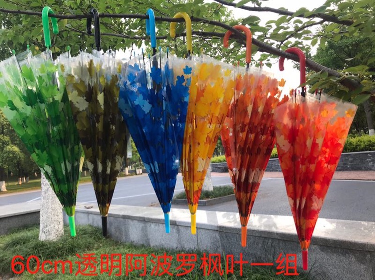 60Cm Apollo Maple Leaf Transparent Umbrella