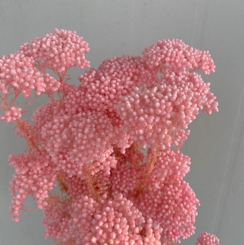 米花