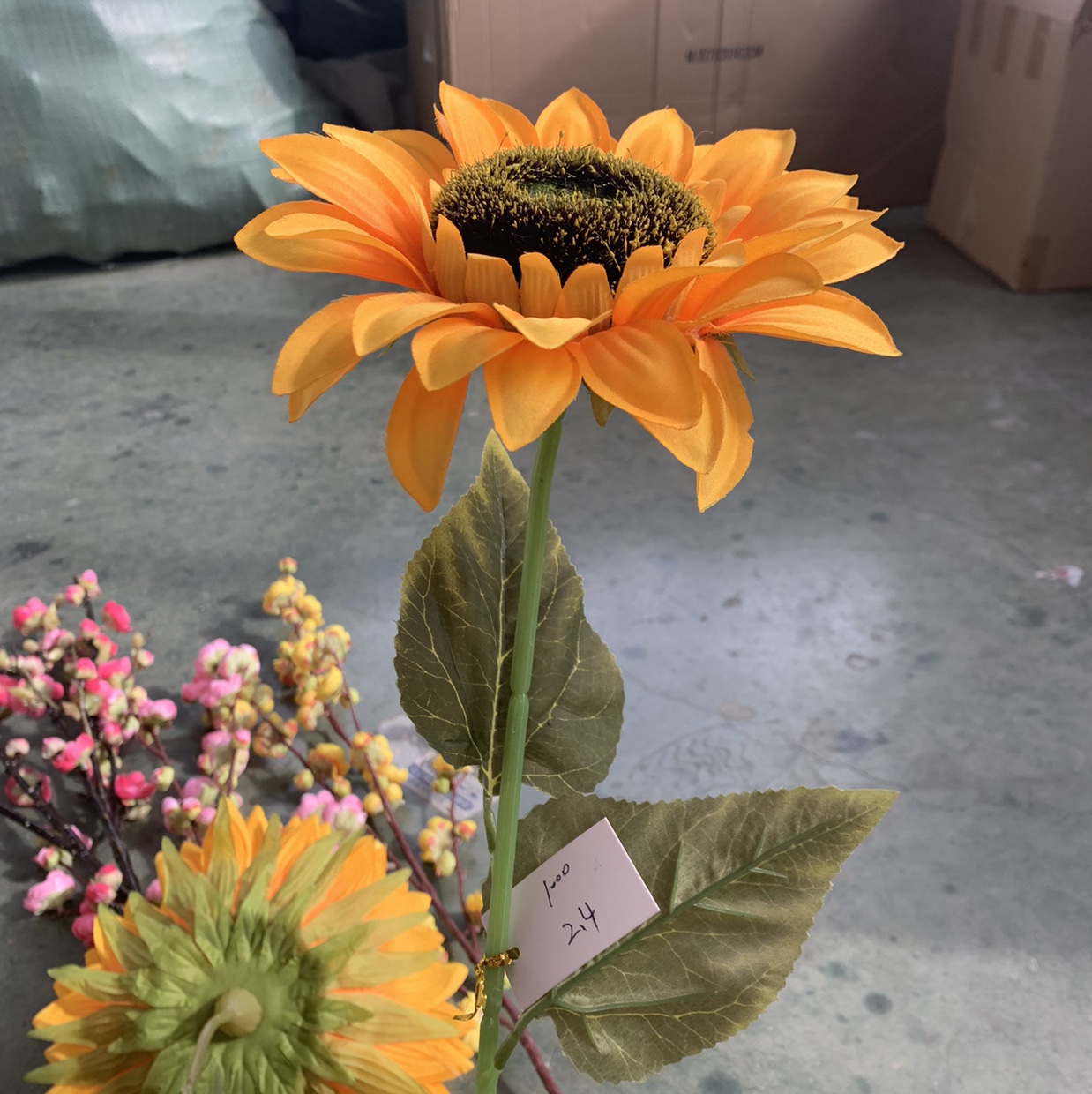 Sunflower