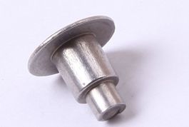 Step rivets