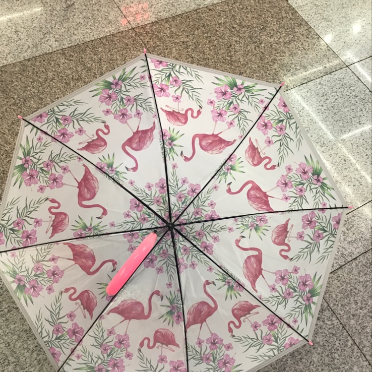 60 Cm Eva Flamingo details Picture