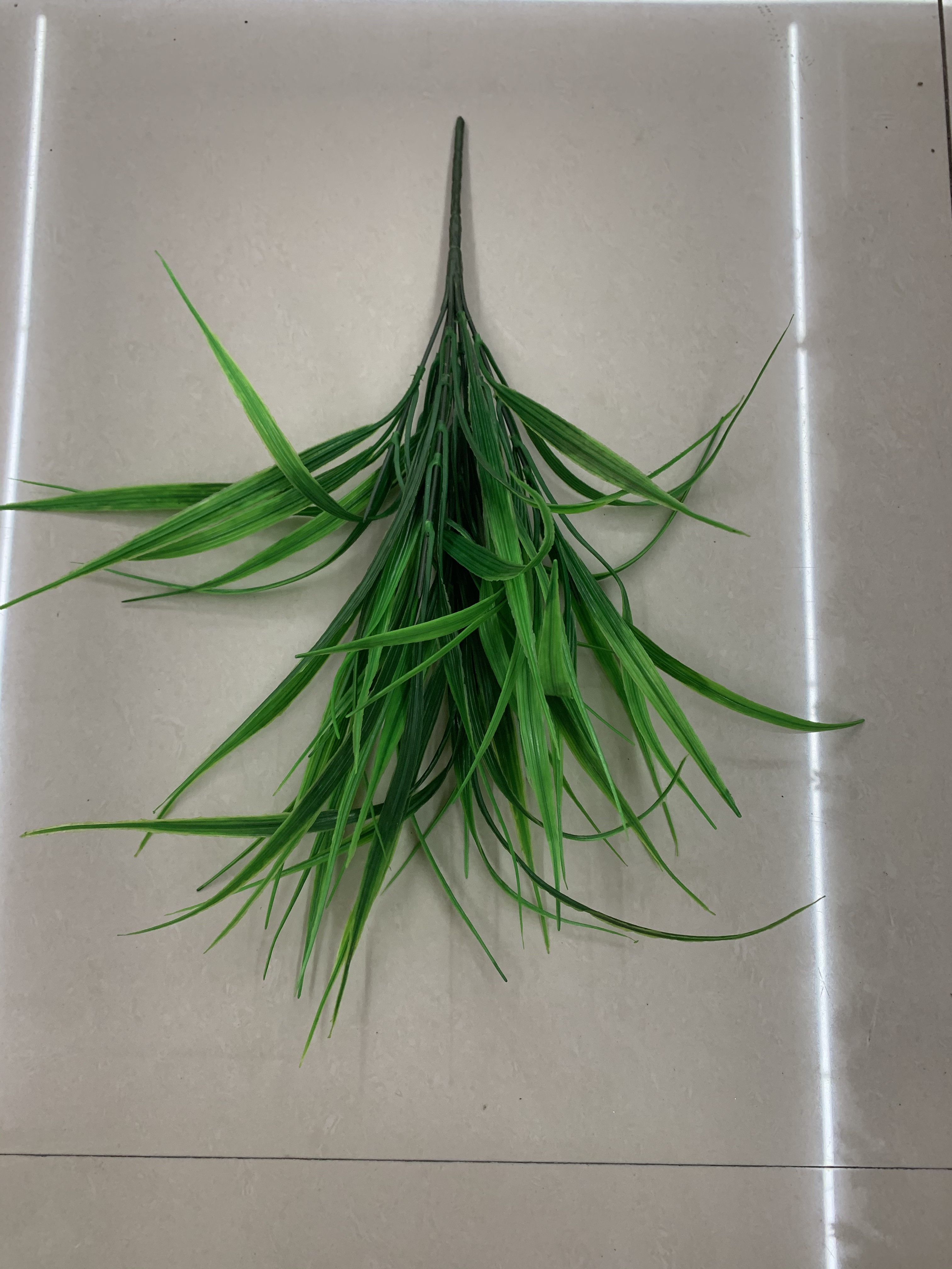 Seven heads of long grass details Picture