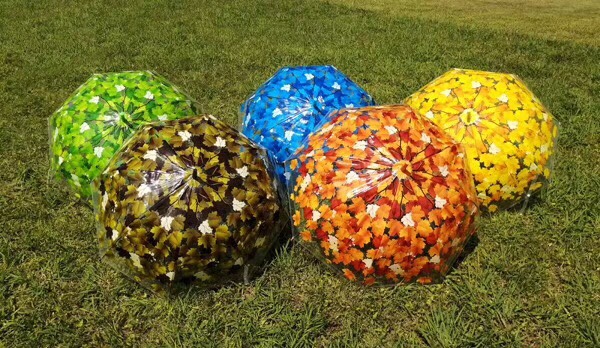 60Cm Apollo Maple Leaf Transparent Umbrella details Picture