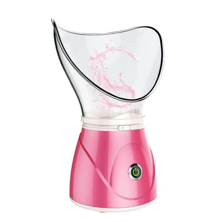 Multi-function face steamer