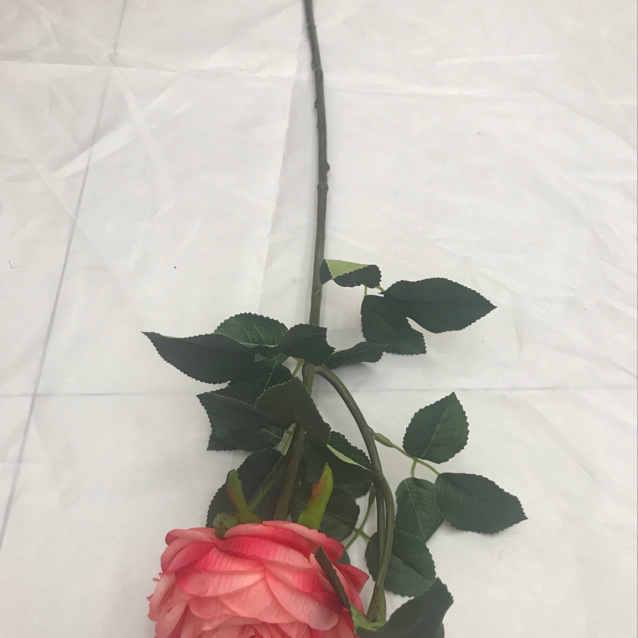 Two peonies on a single branch Application Scenario