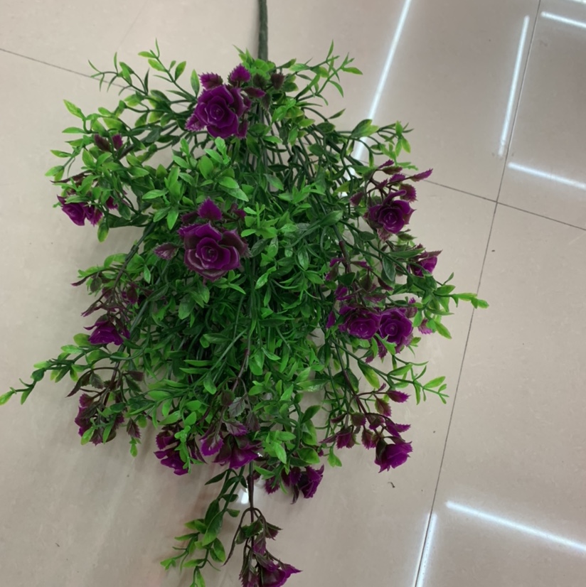 Eighteen roses
