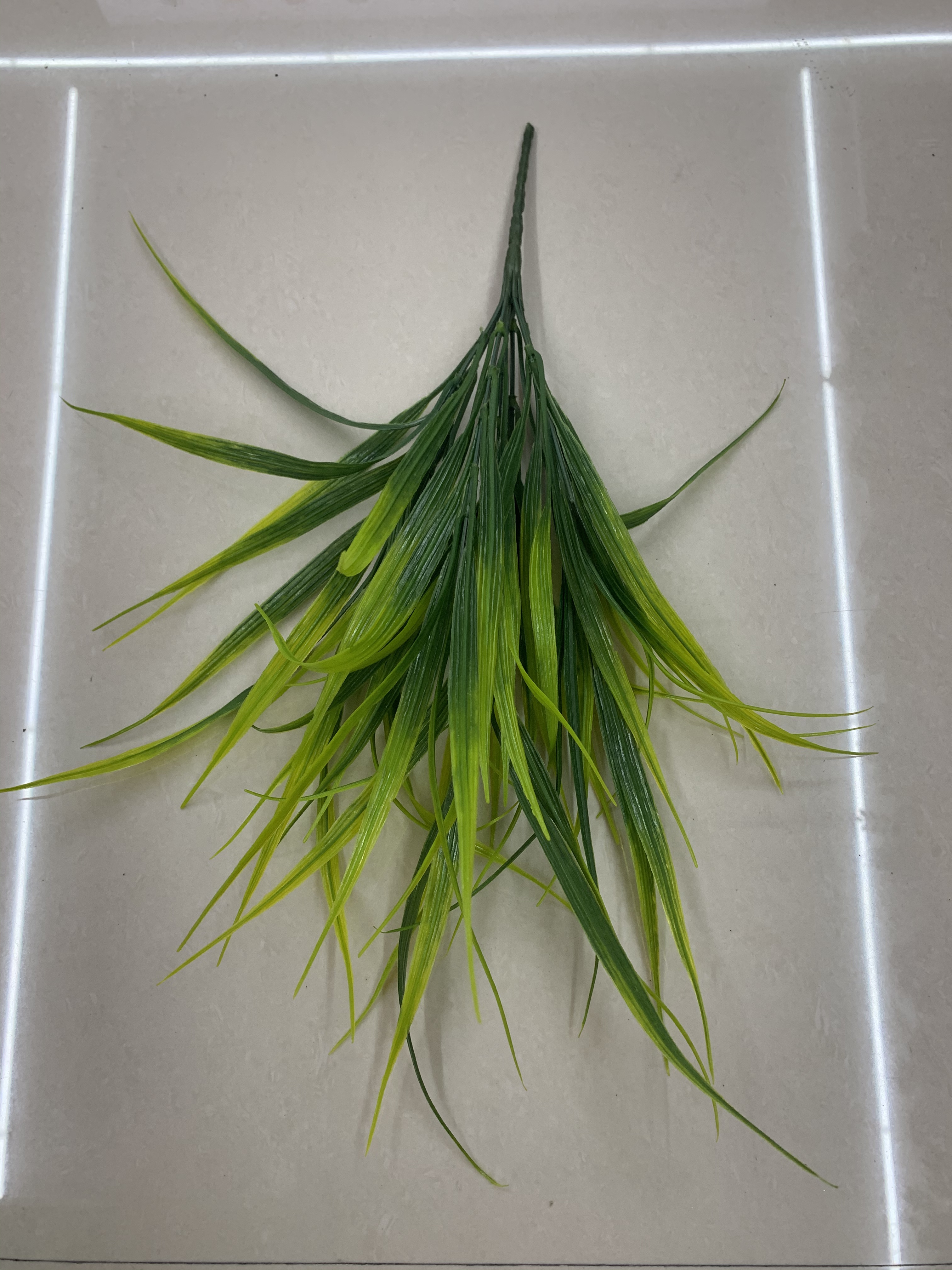 Seven heads of long grass Specification image